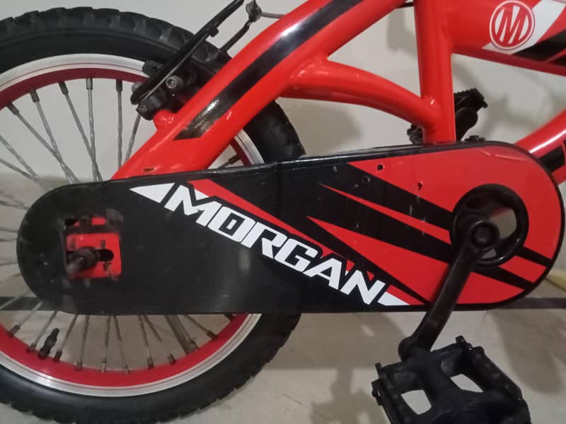 Morgan Kid cycle 3