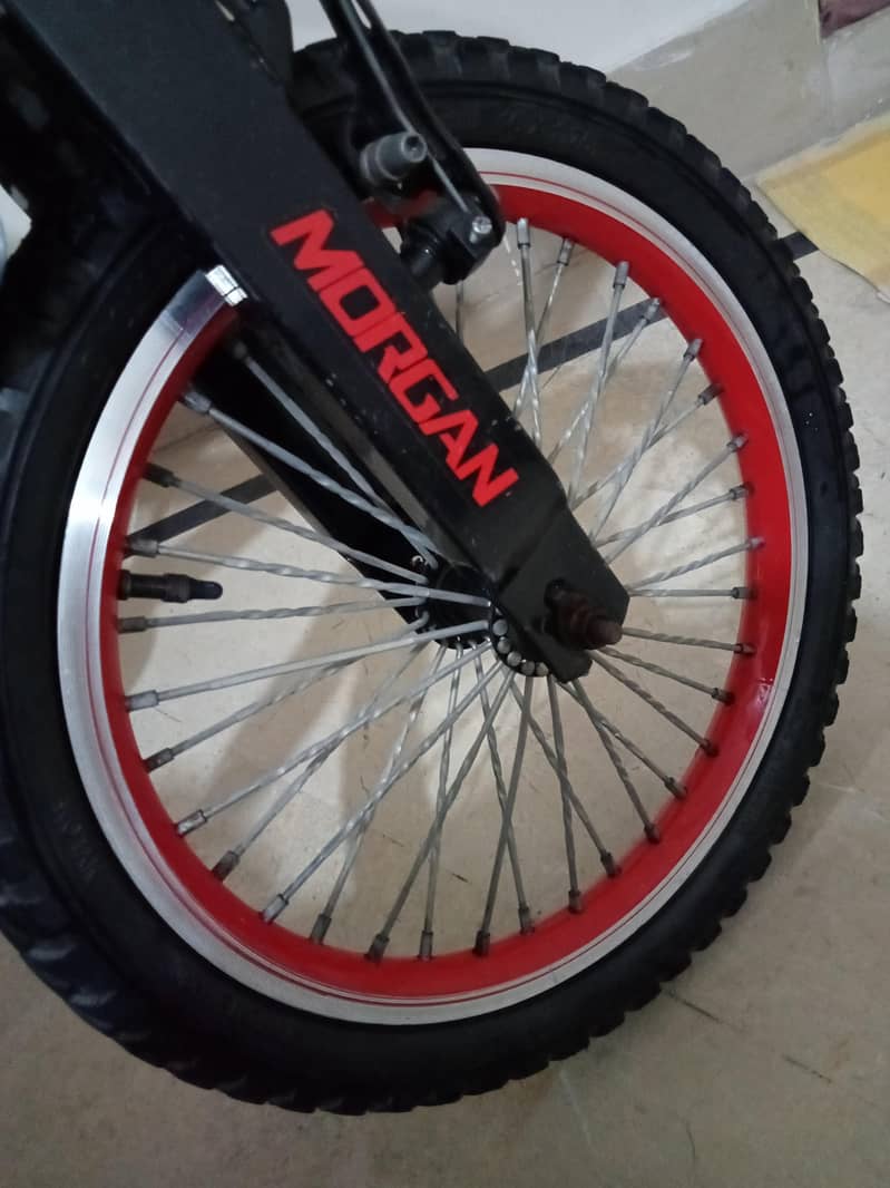 Morgan Kid cycle 7