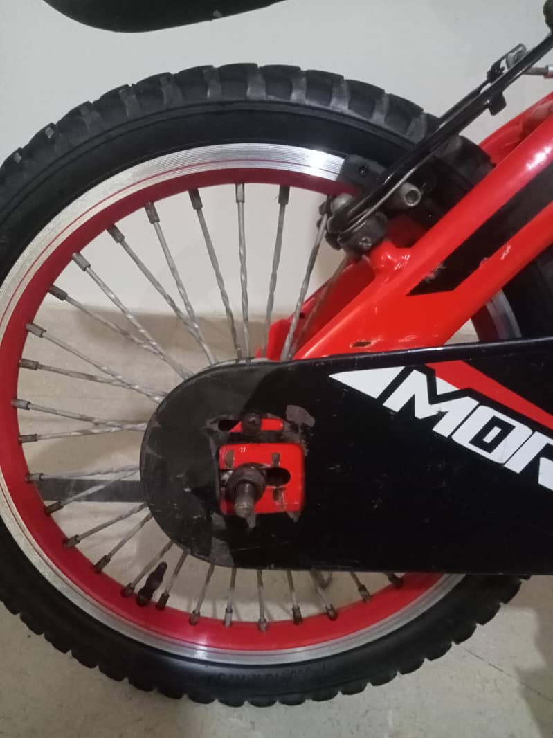 Morgan Kid cycle 9