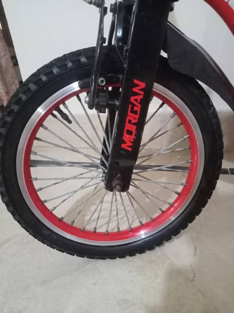 Morgan Kid cycle 10