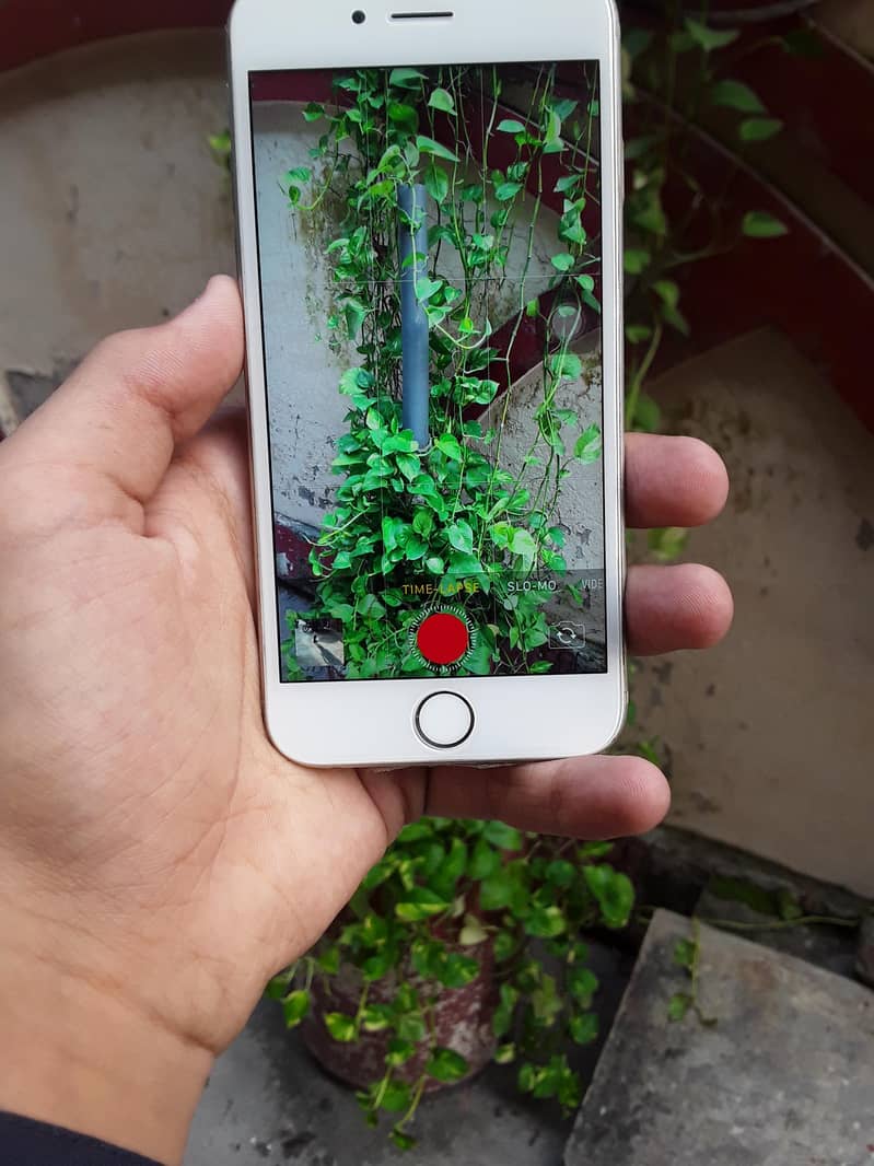 Apple iPhone 6S 4