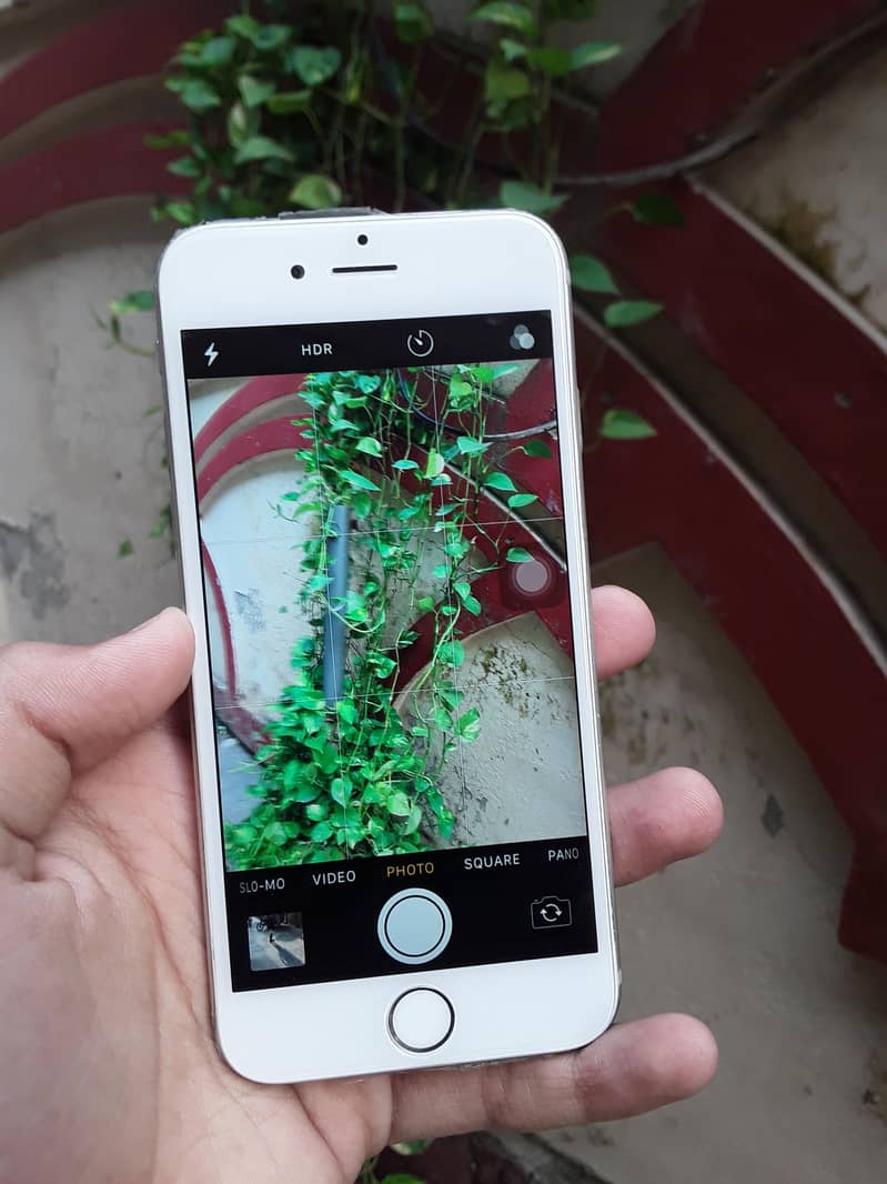 Apple iPhone 6S 5