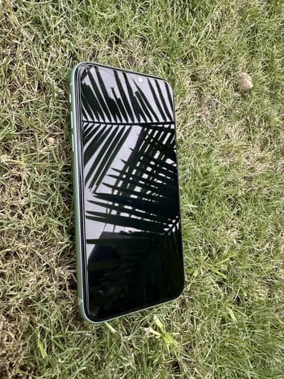 Apple iPhone 11