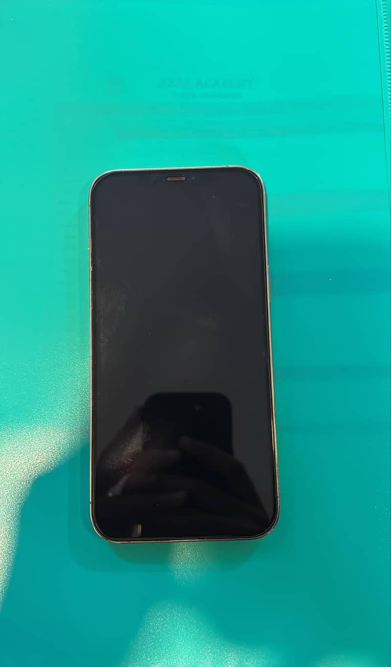 IPHONE 12 PRO MAX 1