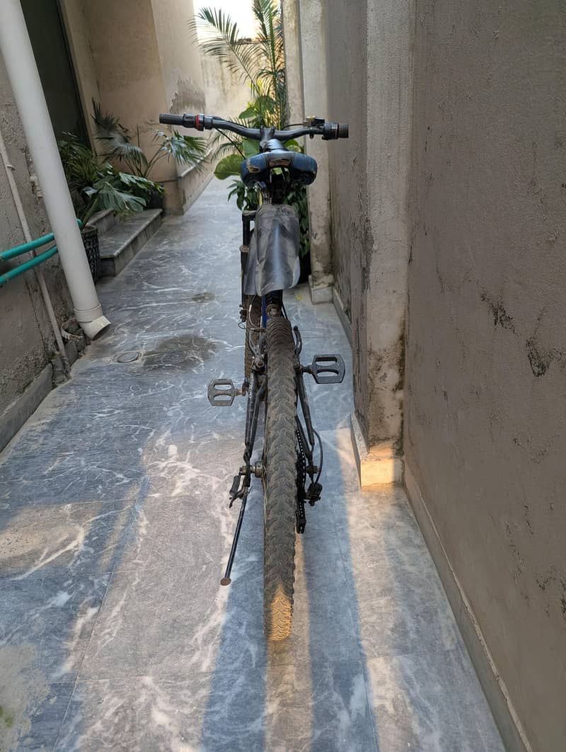 Bicycle 6