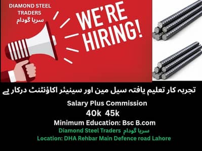 Senior sales Person Senior Accountant Required