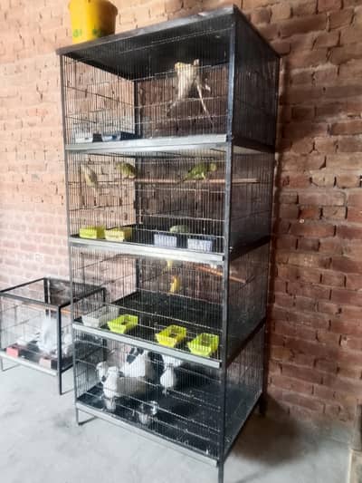 8 portion Heavy Cage for sale 03074878531