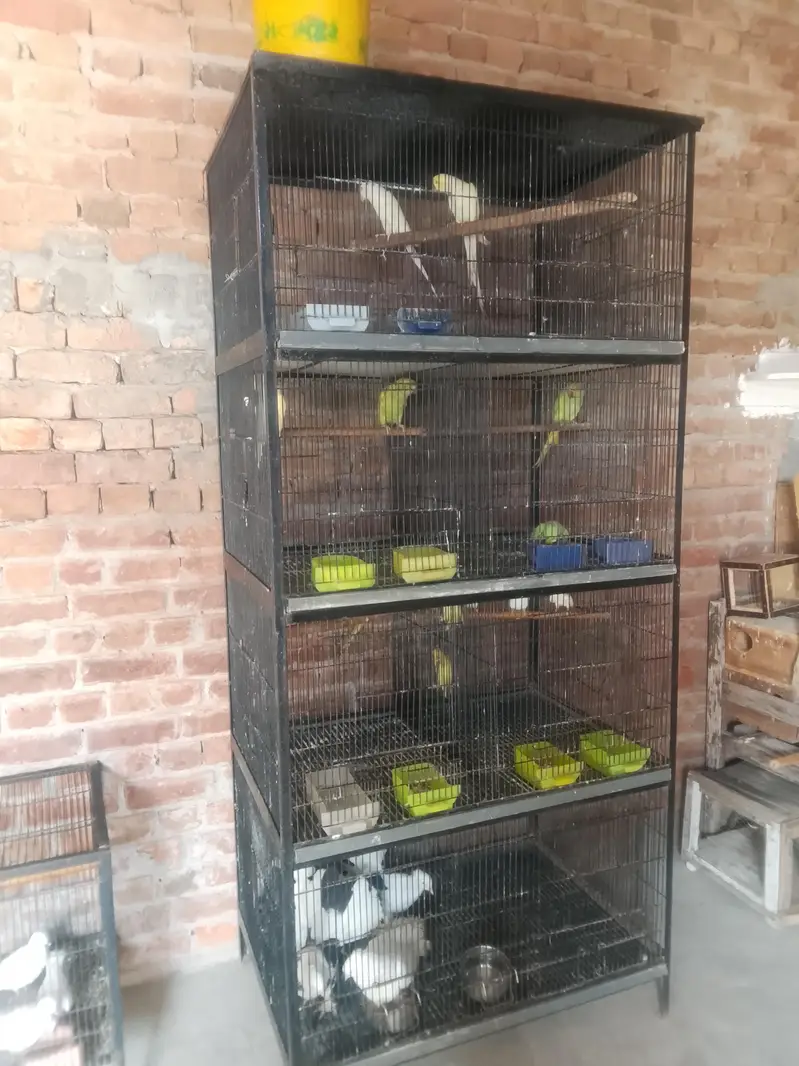 8 portion Heavy Cage for sale 03074878531 — photo 2