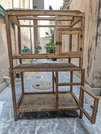 Hen and parrot cage