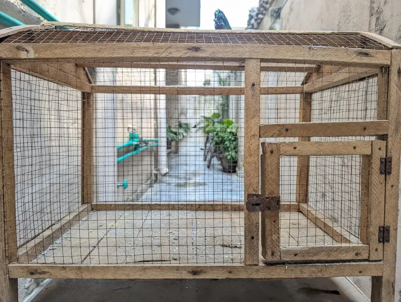 Hen and parrot cage — photo 2