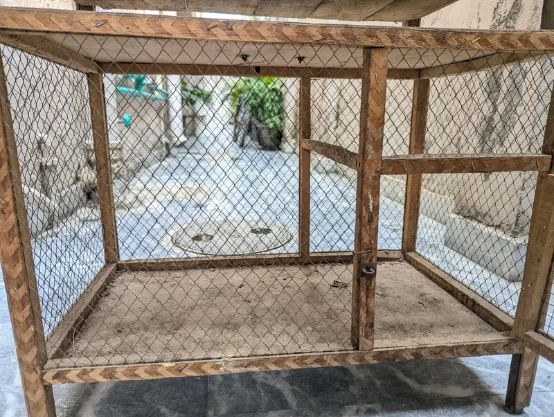 Hen and parrot cage — photo 3
