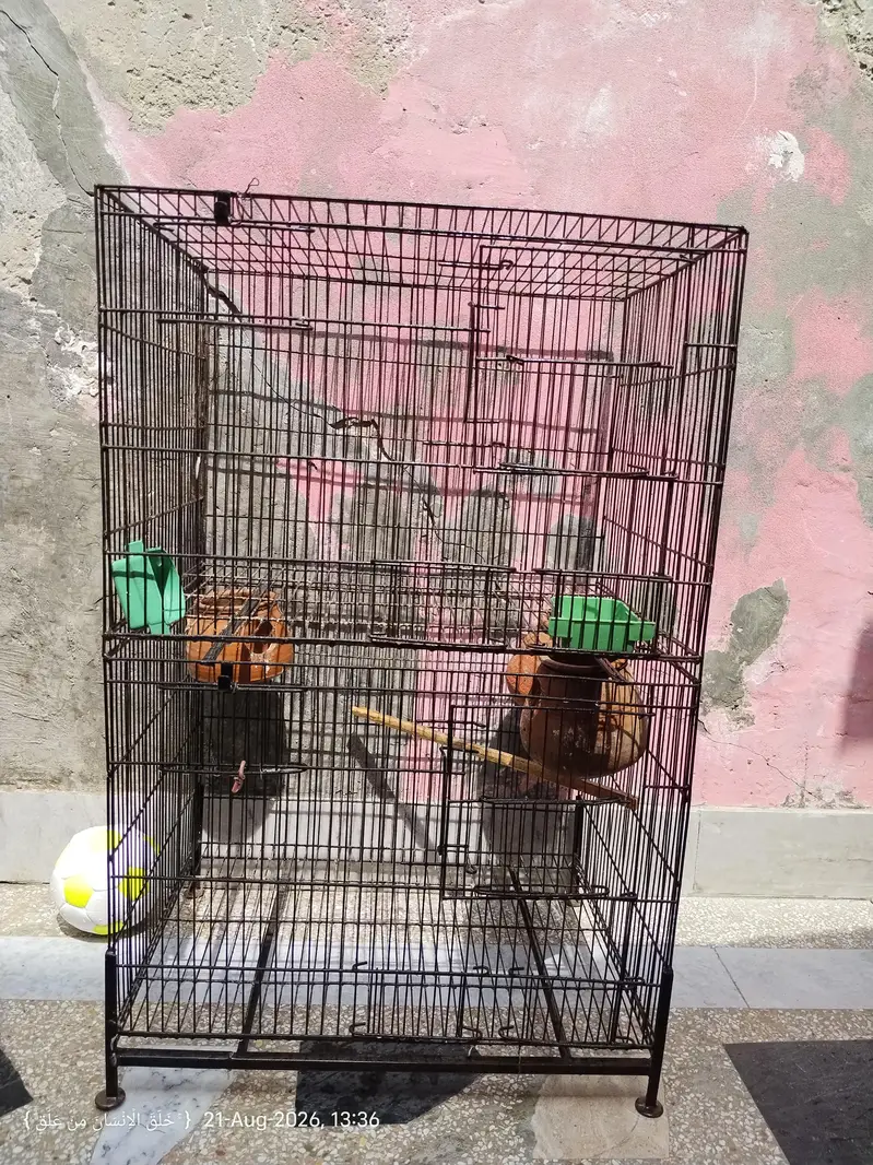 Heavy weight Cage — photo 2