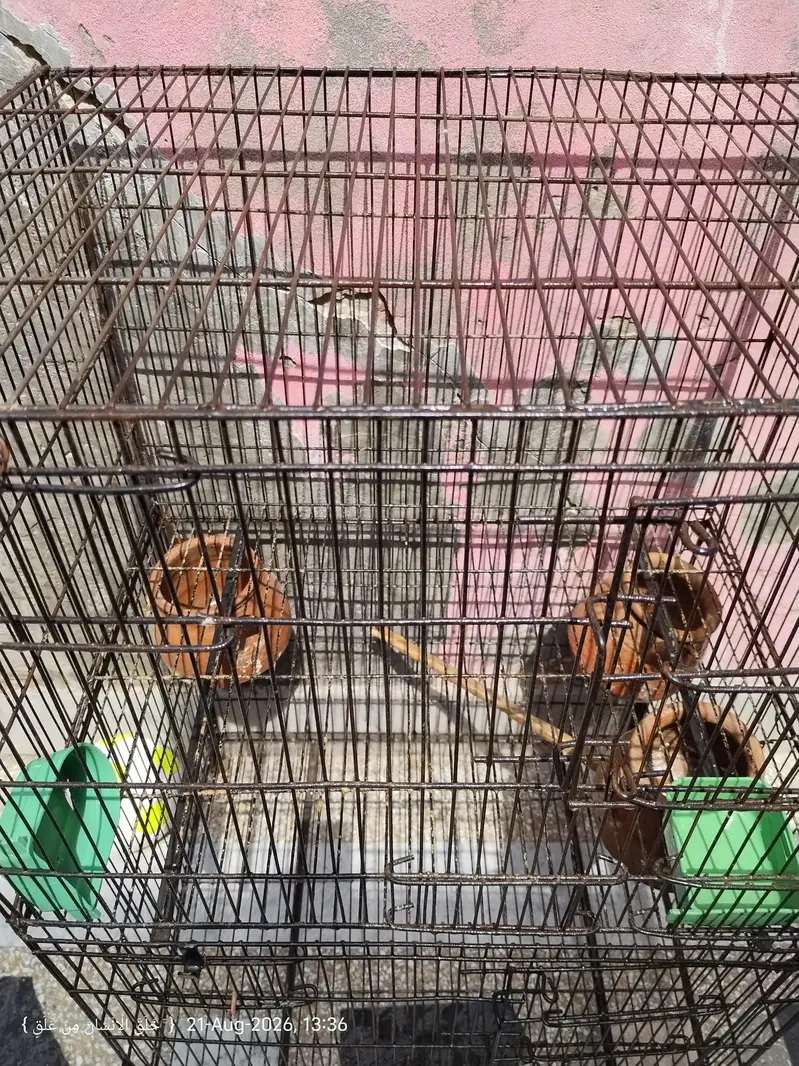 Heavy weight Cage — photo 3