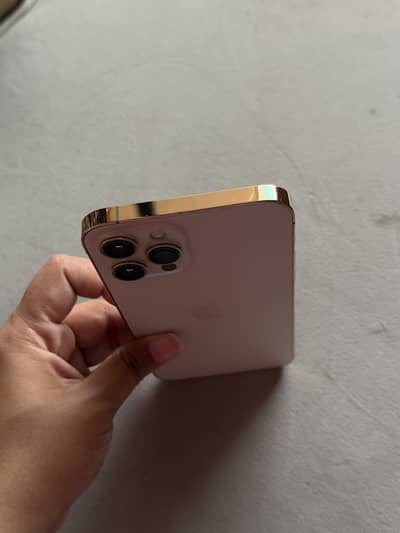 Apple iPhone 12 Pro Max