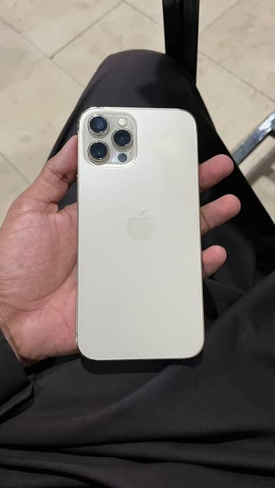 iPhone 12 Pro Max