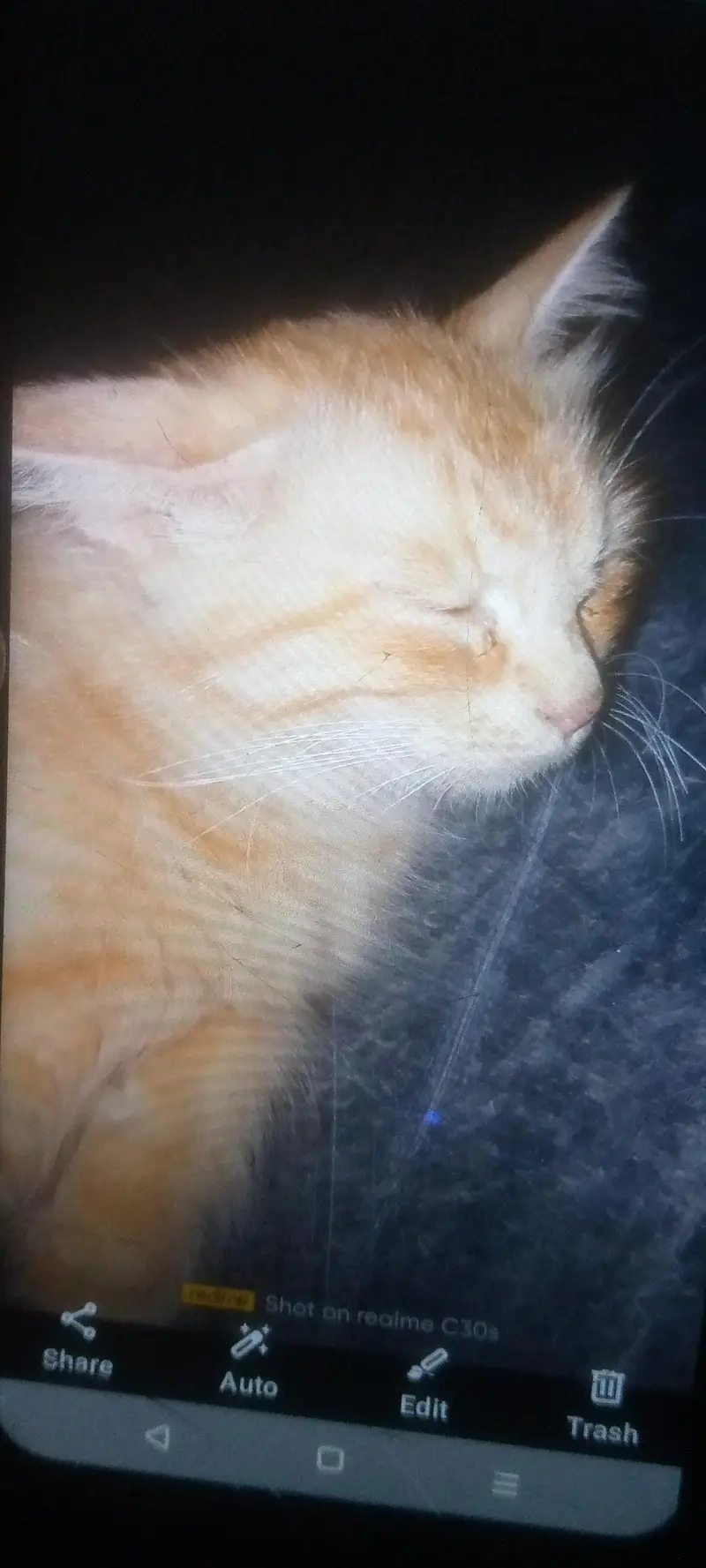 person for sell — photo 2