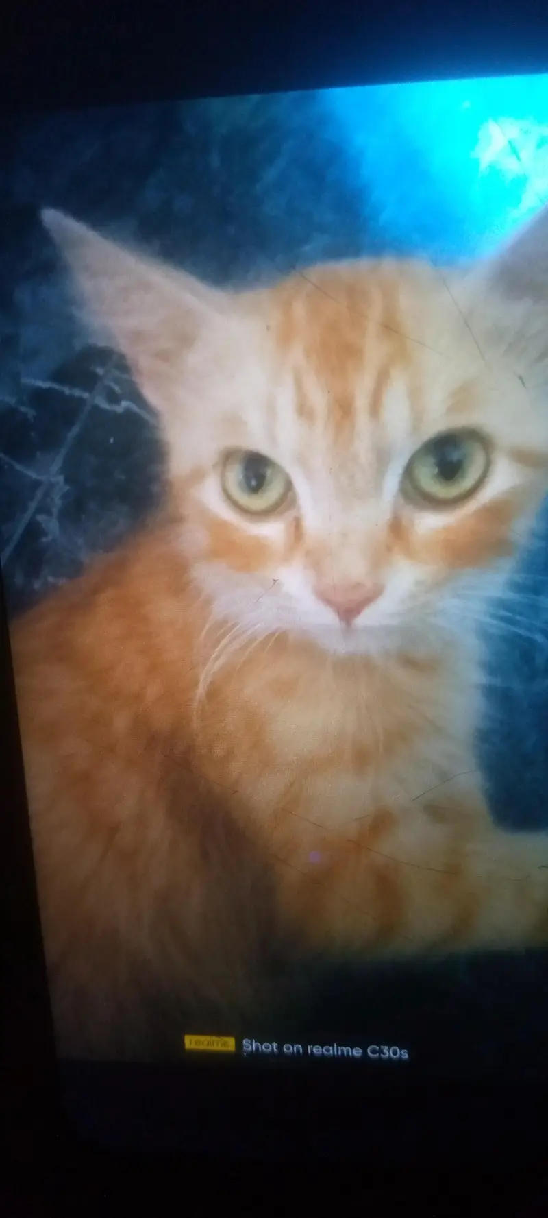 person for sell — photo 3