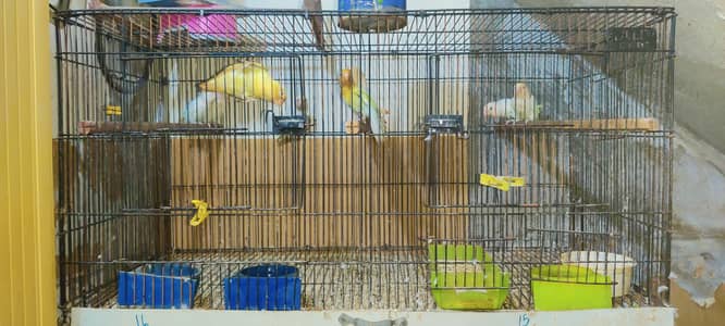 Cage  3 feet