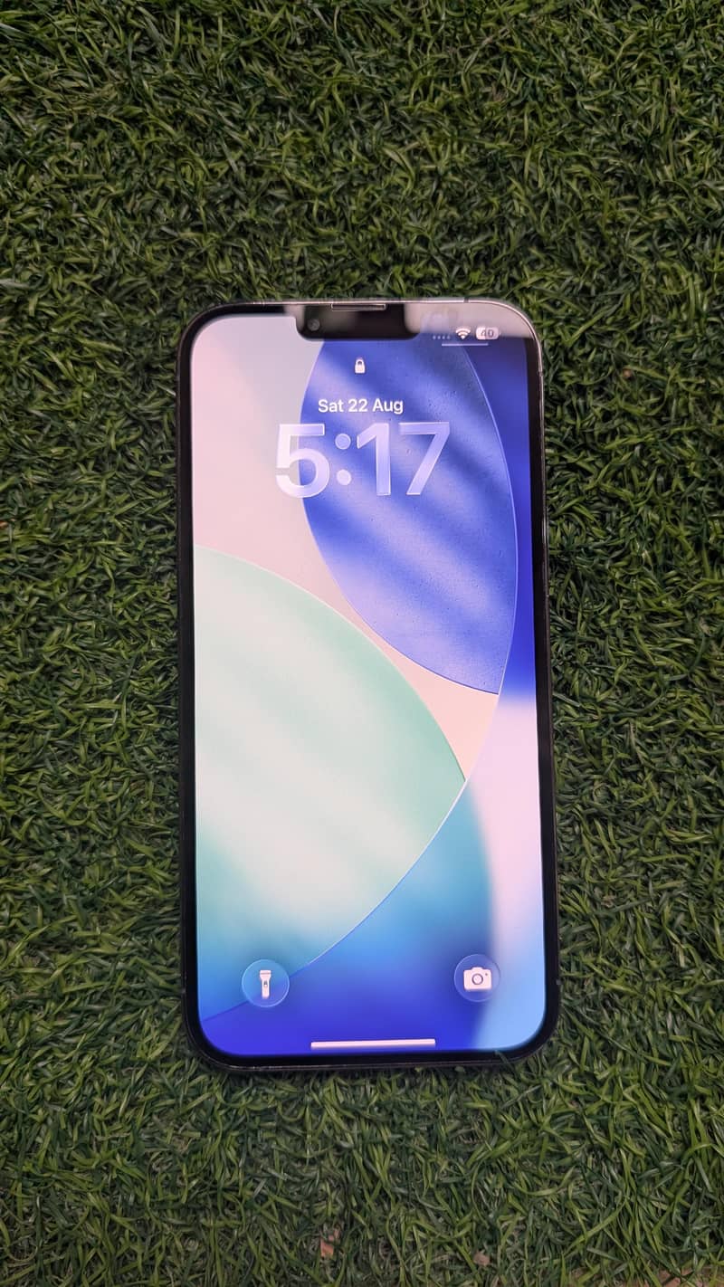 Apple iPhone 13 Pro Max 2