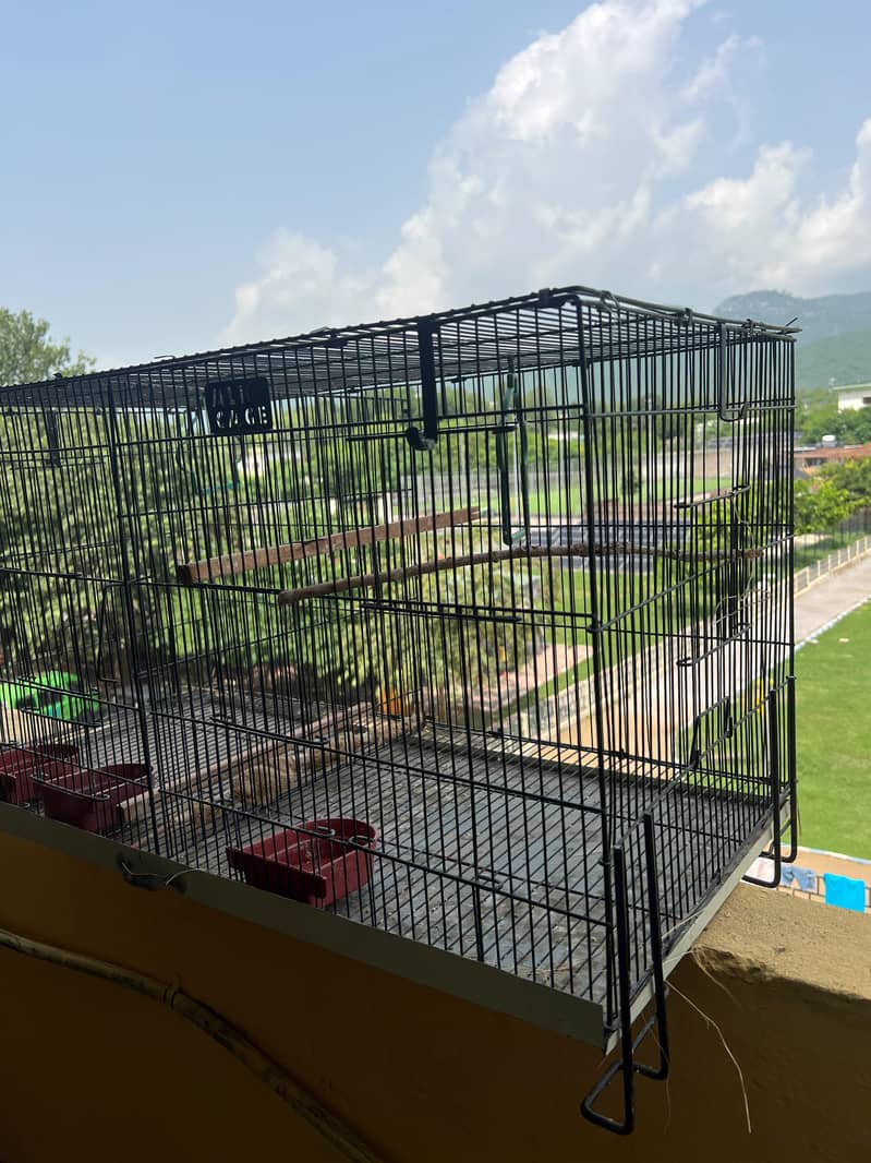 Cage & Box 1
