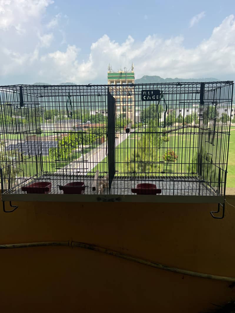 Cage & Box 2