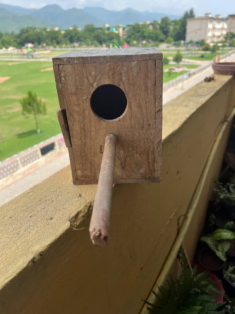 Cage & Box 3