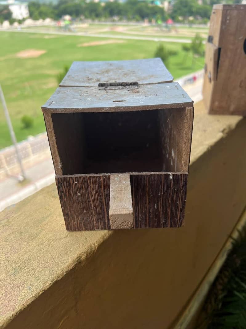 Cage & Box 4