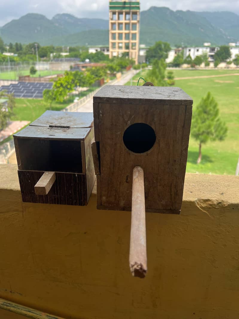 Cage & Box 5