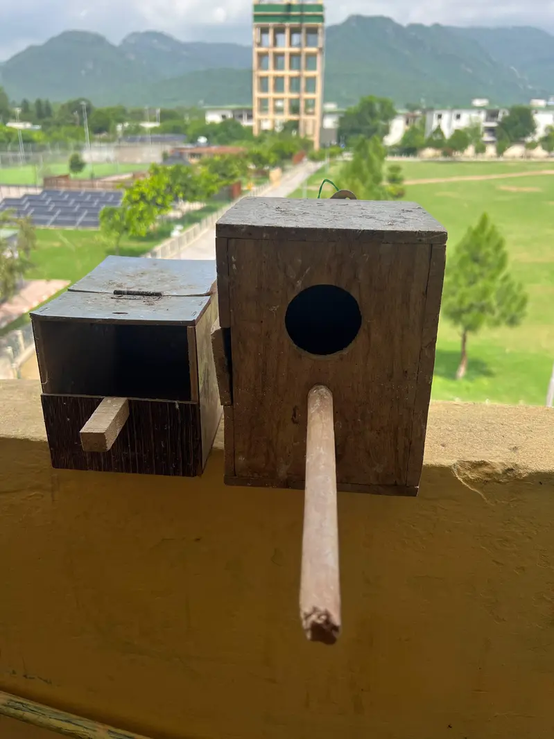 Cage & Box — photo 6