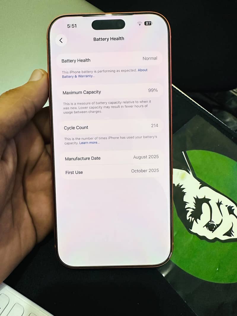 Apple iPhone 17 Pro Max 1
