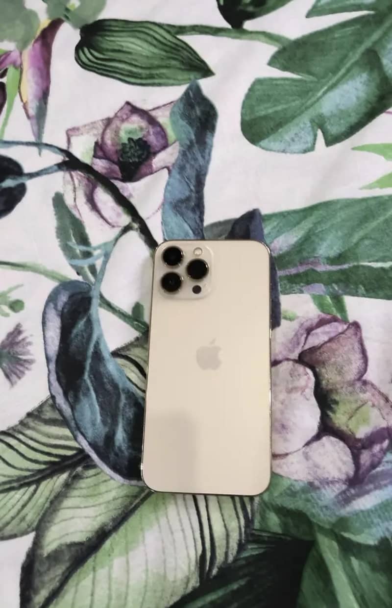 iphone 13 prommax 1