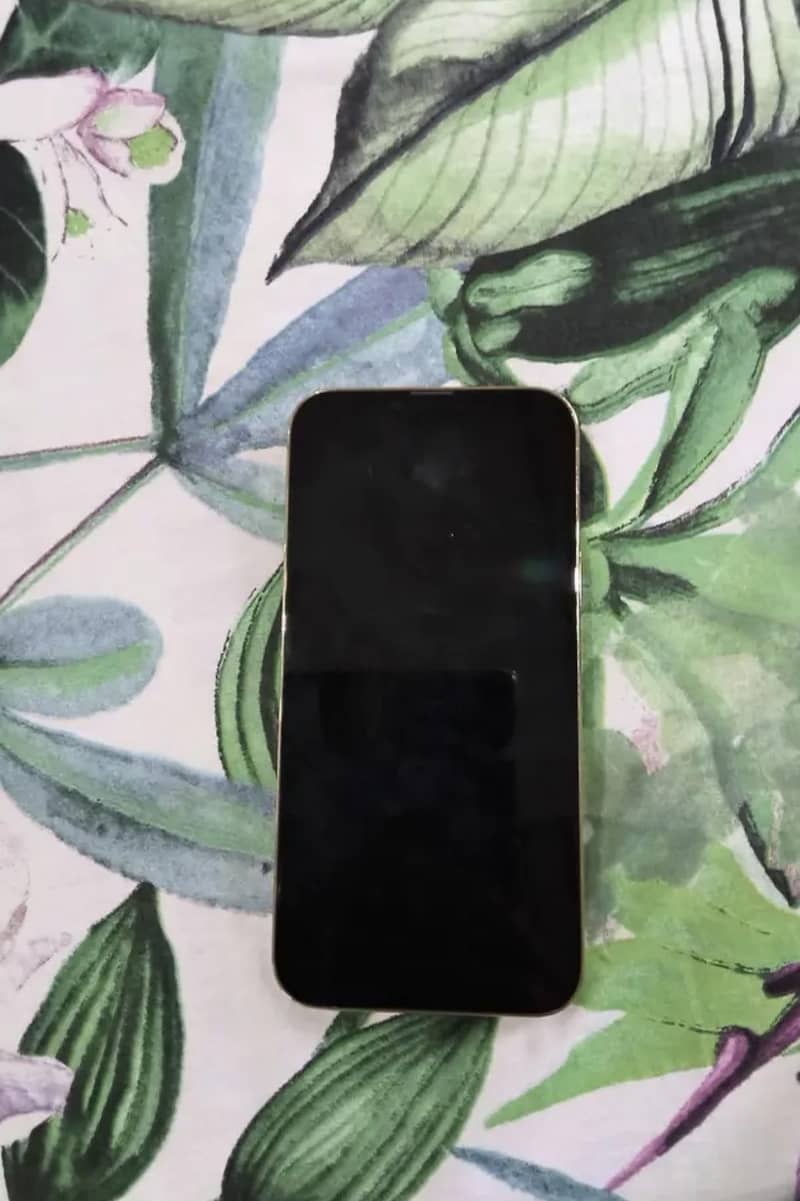 iphone 13 prommax 3