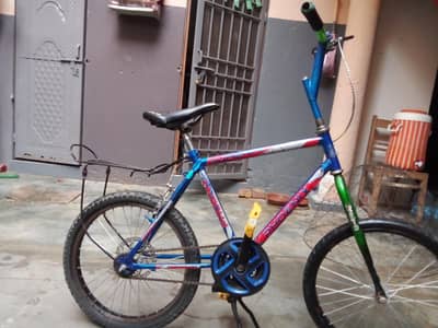 Phoenix cycle