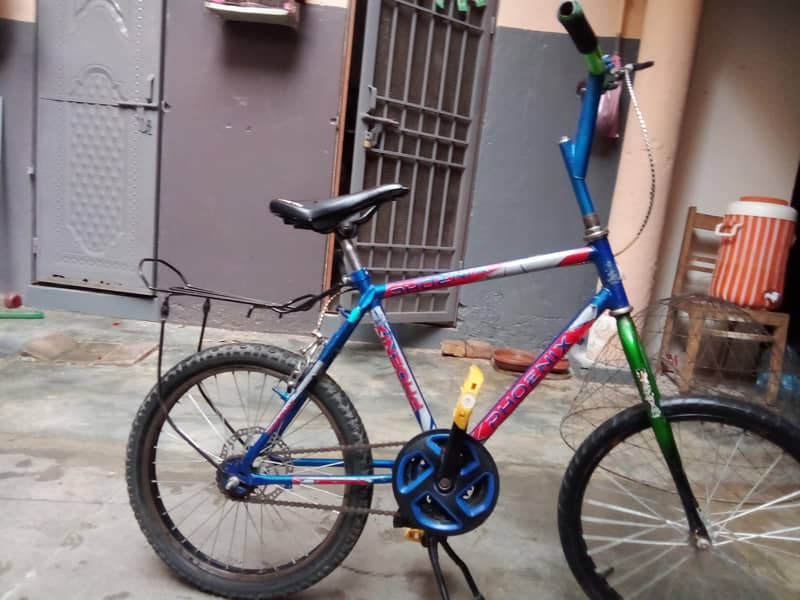 Phoenix cycle 1