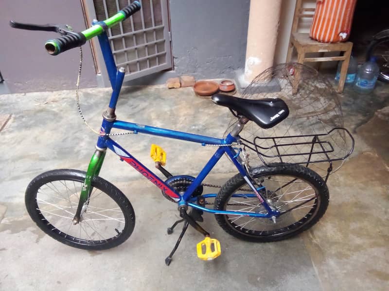 Phoenix cycle 4
