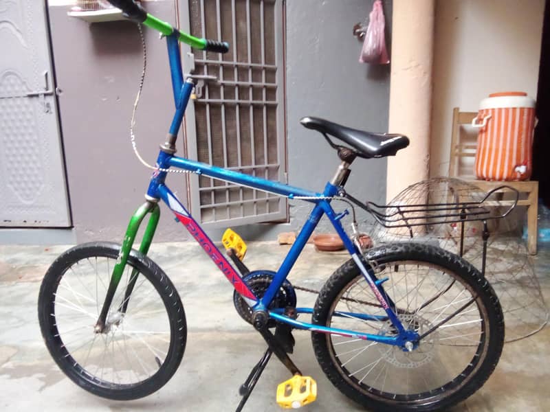 Phoenix cycle 5