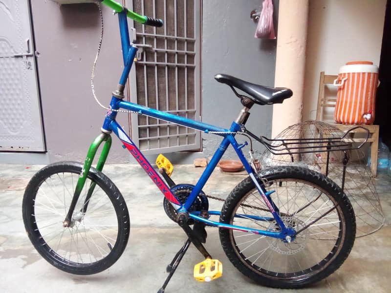 Phoenix cycle 6