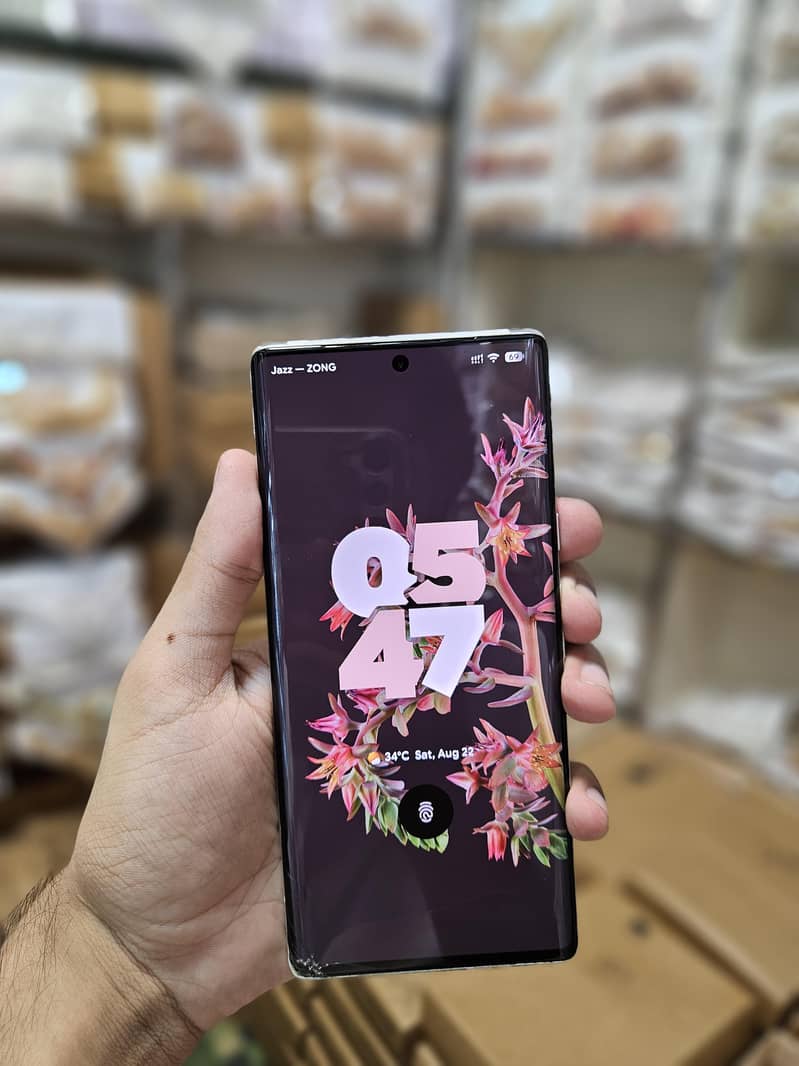 Google Pixel 6 Pro 1