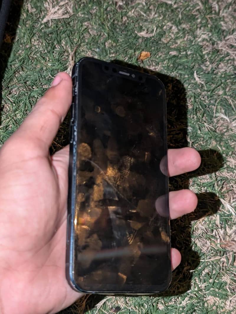 Apple iPhone 12 2