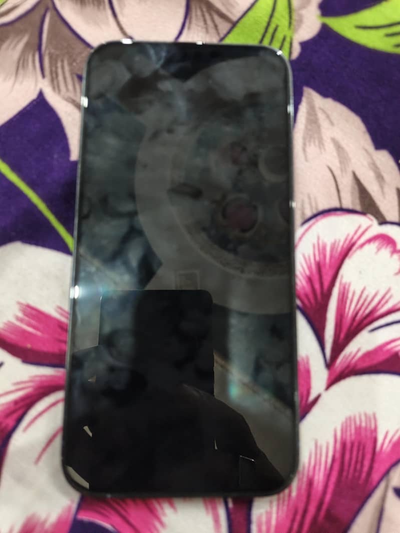 Apple iPhone 13 Pro Max 4