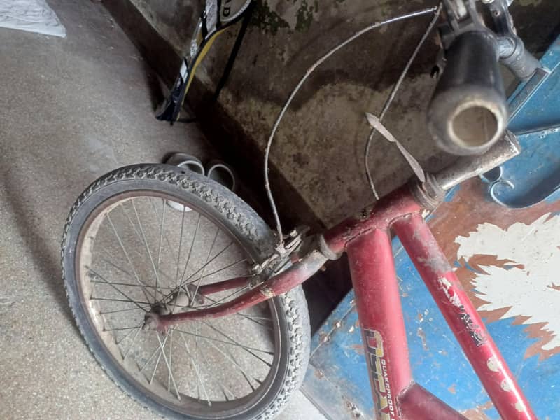 Cycle 4