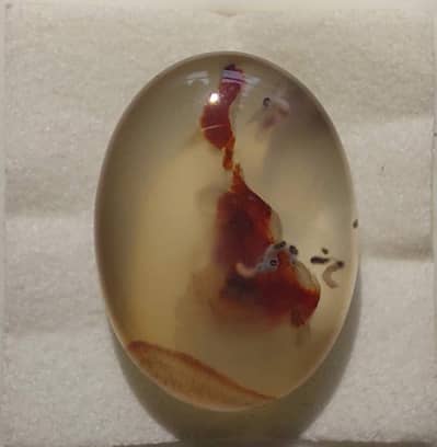 tree agate  / shajri aqeeq