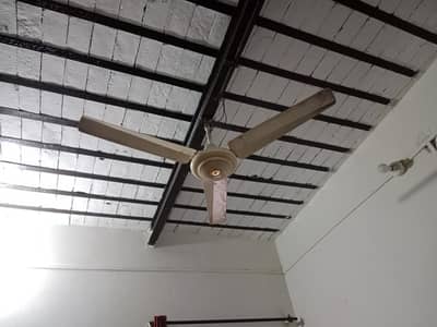 Roof Fan