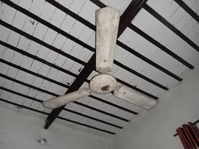 Roof Fan