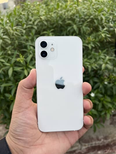 Apple iPhone 12