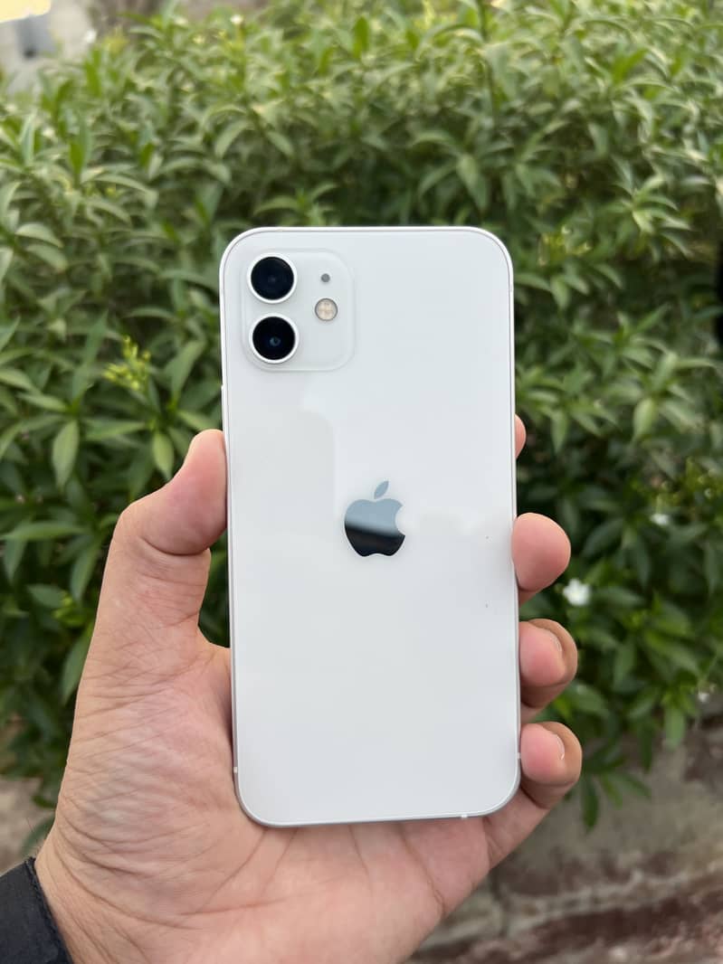 Apple iPhone 12 0