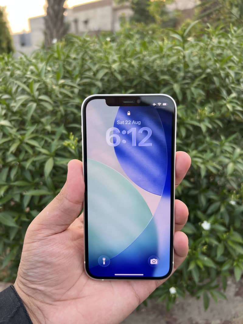 Apple iPhone 12 1