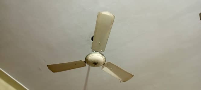 ceiling fan