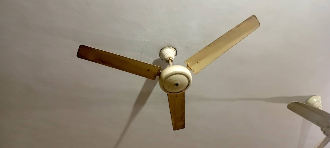 ceiling fan 1