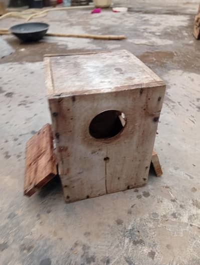PARROTS BREEDING BOX 